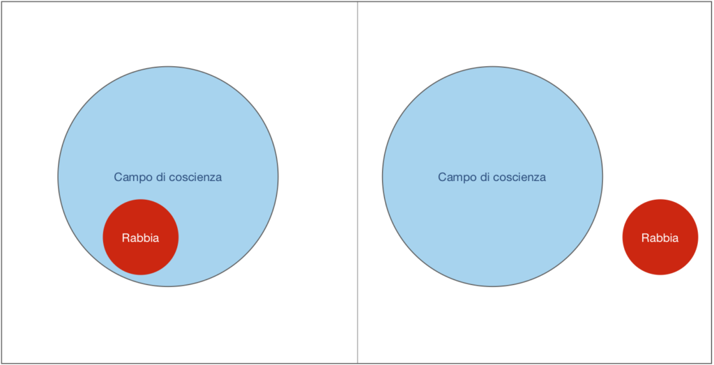 Grafico in cui vediamo come la rabbia viene gestita tramite la disidentificazione